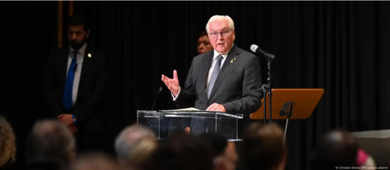 Розпад коаліції у Німеччині: Штайнмаєр готовий до радикальних дій