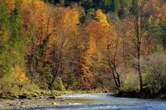 Потепліє до +12 градусів, але не надовго: прогноз погоди на 17 листопада