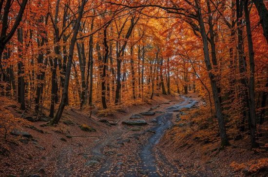 Погода у п'ятницю, 8 листопада: синоптики здивували прогнозом