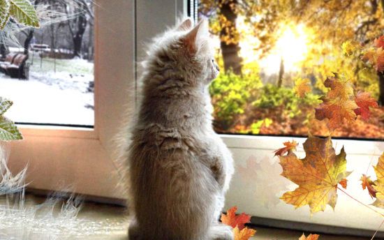 Погода в Україні: синоптикиня зробила прогноз на 12 листопада