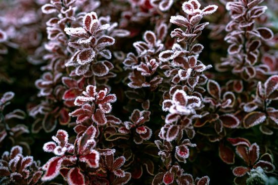 Останні теплі дні, а далі - снігопади: синоптики оновили прогноз в Україні 