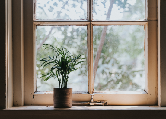 Тест дасть відповідь: ви інтроверт чи екстраверт