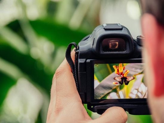 В Україні засудили фотографа через його світлини