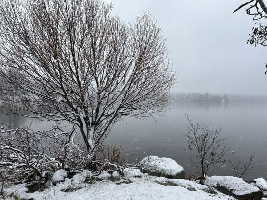 Синоптики попередили про небезпеку та новий циклон: як зміниться погода 