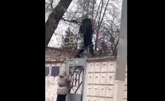 Йшов "визволяти" сина: у Кривому Розі чоловік з ножем штурмував ТЦК, сталася стрілянина (відео)