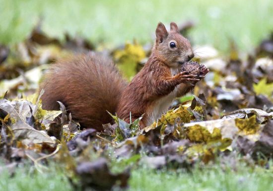 До України йде потепління: синоптикиня назвала дату