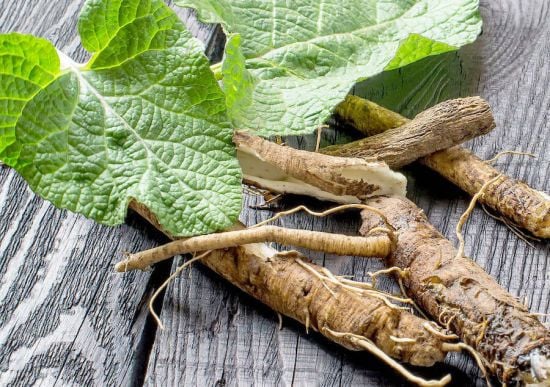 Замість цілої аптечки: ця копійчана трава знижує цукор у крові, чистить нирки й лікує суглоби