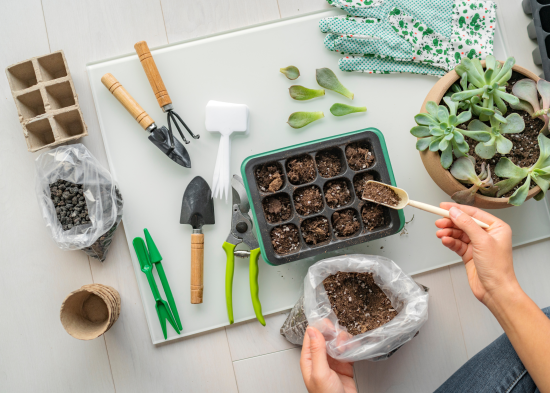 Місячний посівний календар на 2025 рік: всі сприятливі і несприятливі дні для городників