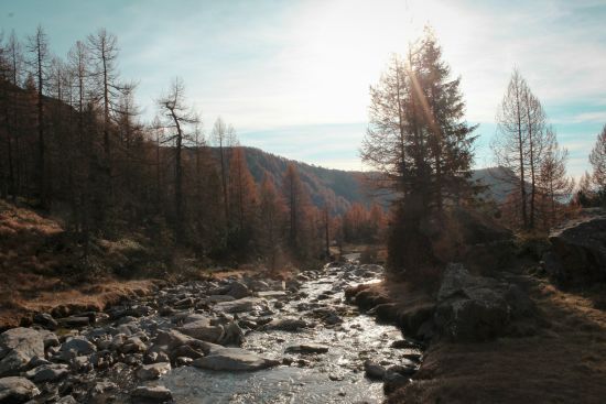 Потепління до +14, але ненадовго: прогноз погоди в Україні на 19 листопада