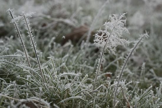 До України йде циклон: яку погоду він принесе у п'ятницю, 29 листопада
