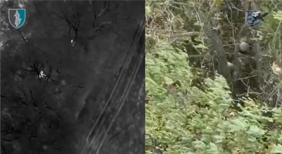 Бійці ССО влаштували блискучу атаку на позиції ворога на Курщині (відео)