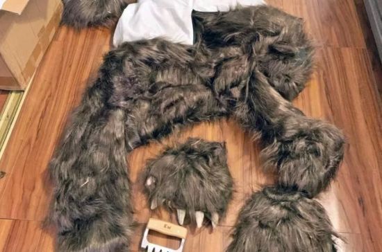 Чоловік у костюмі ведмедя інсценував напади на авто заради страховки: чим це закінчилося – фото