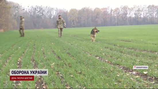 Врятував не одне життя: військові розповіли про унікального пса, який попереджає про "прильоти"
