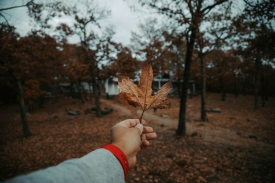 День ангела 8 листопада: кого та як вітати з іменинами