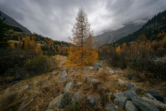 Погода у листопаді: як довго ще протримається тепло