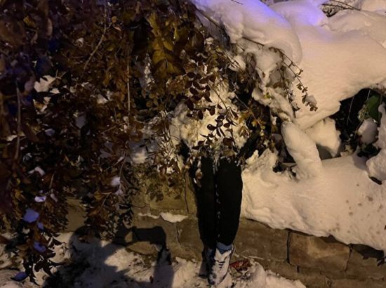 У жінки стався нервовий зрив через сніговика – фото