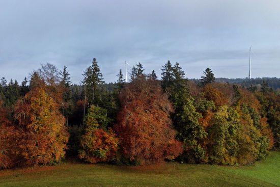 Синоптики попереджають про небезпеку: що очікувати українцям на початку листопада