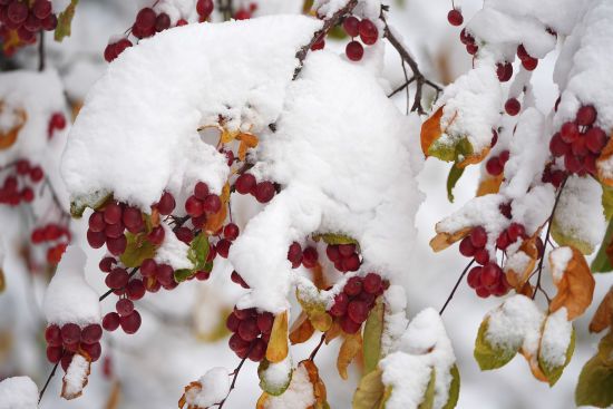 Україну засипало снігом і вдарили морози: чого очікувати від погоди далі 