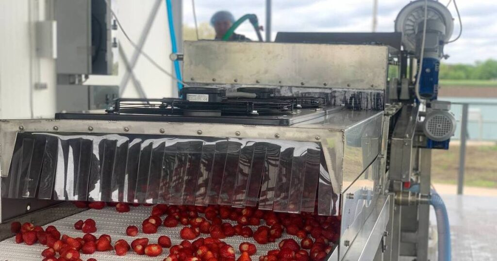 INSORTEX - українська виробнича компанія підкорює європейський ринок