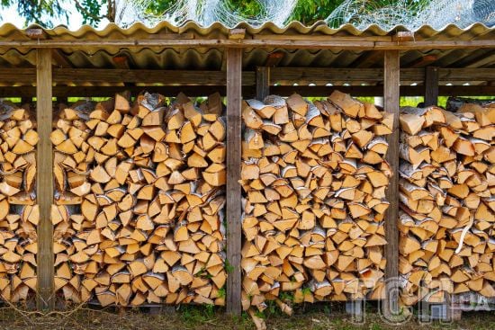 Скандальний закон про дрова: чи підпише документ Зеленський – в ОП пояснили