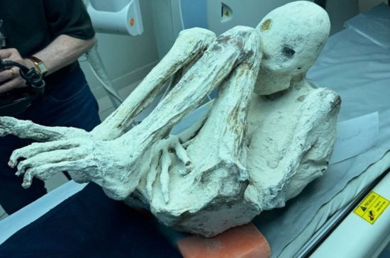 Знайдена нова перуанська "мумія прибульця": ініційовано міжнародне розслідування – фото