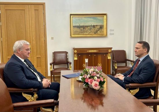 Голова МЗС провів переговори з Польщею щодо передачі Україні винищувачів МіГ-29