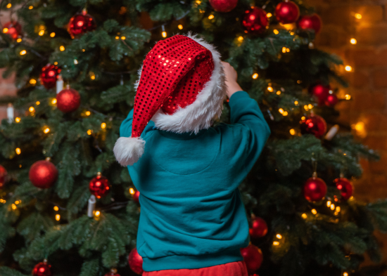 Щоб Зелена Змія була задоволеною: як прикрасити ялинку на Новий 2025 рік — кольори, стилі, ідеї