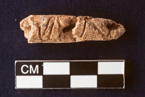 Знайдено найдавніший із відомих алфавітів – фото