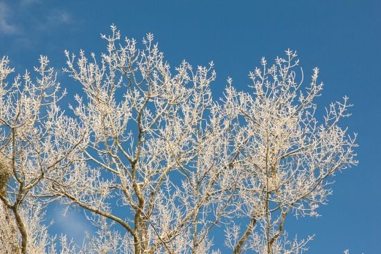Погода в Україні: синоптики оновили прогноз на сьогодні, 3 листопада