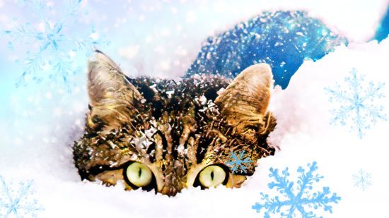 Готуйтесь: в Україну суне похолодання зі снігом