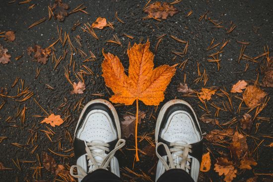 День ангела 14 листопада: кого та як вітати з іменинами