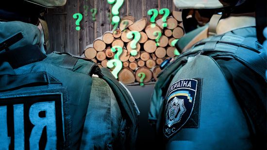 У кого шукатимуть дрова?: спливли нові подробиці скандального закону