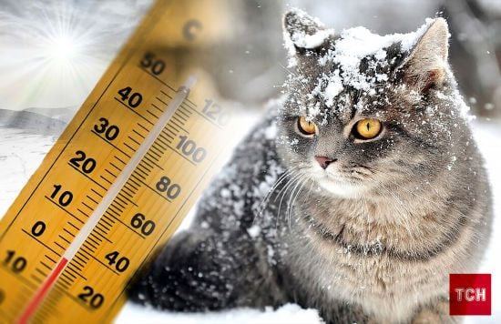 Погода в грудні: яким буде перший місяць зими і чи випаде сніг на Різдво і Новий рік
