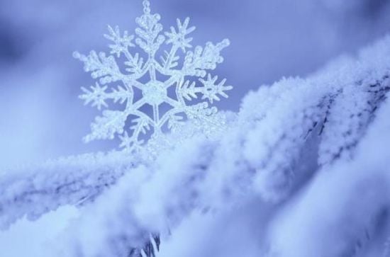 За 10 секунд на малюнку потрібно знайти унікальну сніжинку: зимова головоломка
