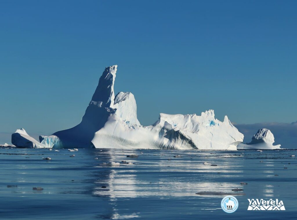 Благодійна колекція від «Яверета» «Канікули в Антарктиді» - у підтримку полярників, які воюють