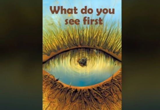 Що ви побачите першим: оптична ілюзія допоможе визначити ваші  сильні та слабкі сторони