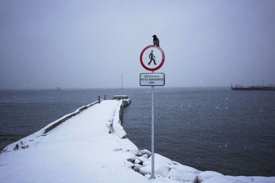 У Балтійському морі пошкоджено електрокабель між двома країнами НАТО