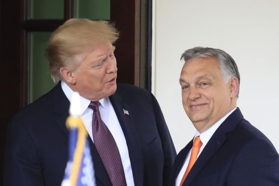 Після перемоги на виборах Трамп консультувався з Орбаном щодо війни в Україні — ЗМІ