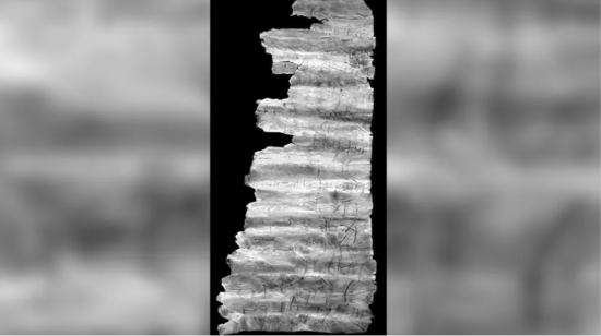 Унікальна знахідка в Німеччині: срібний амулет розкрив найстаріші таємниці християнства Унікальна знахідка в Німеччині: срібний амулет розкрив найстаріші таємниці християнства