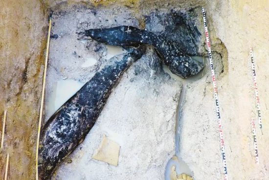 Археологи знайшли дерев’яні конструкції, яким близько 476 тисяч років: подробиці