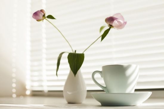 Які предмети в жодному разі не можна ставити на підвіконня: їм там не місце, і ось чому