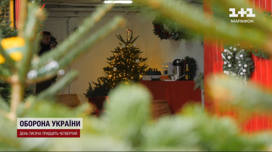 В Україні набирають популярності нові види новорічних дерев: скільки це коштує