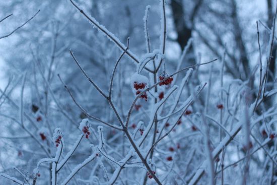 Якими будуть останні дні 2024 року - прогноз погоди в Україні