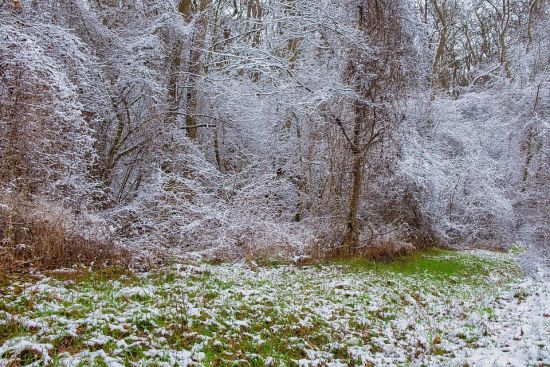 В Україні сильно потеплішає: синоптикиня назвали дати