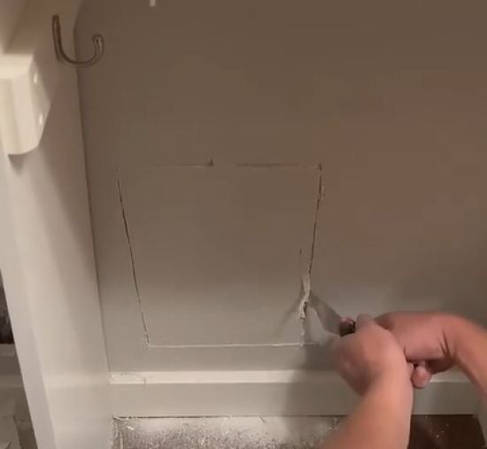 Подружжя почуло дивний шум у стіні будинку: те, що було всередині, шокувало їх – фото