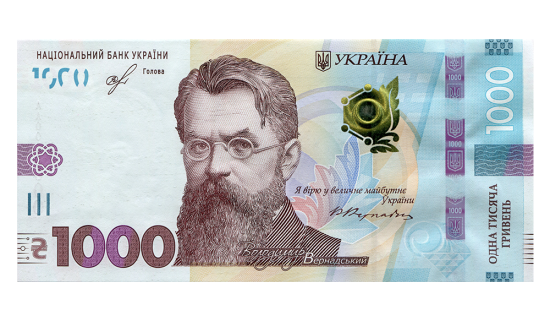 Жінка хотіла отримати "тисячу Зеленського", а втратила майже 100 тис. грн: деталі схеми