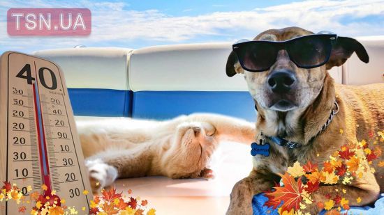 Чи буде зима в Україні: синоптики зробили прогноз із сюрпризом