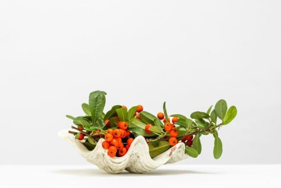 День ангела 26 грудня: кого та як вітати з іменинами