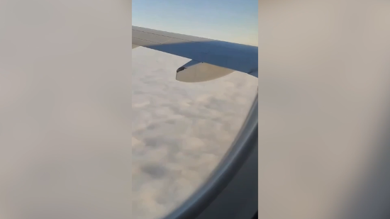 Пасажирський літак, що упав у Казахстані, мав пошкоджене крило: відео