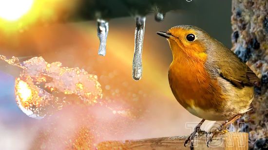 В Україні різко зміниться погода: зима забула, що вона зима